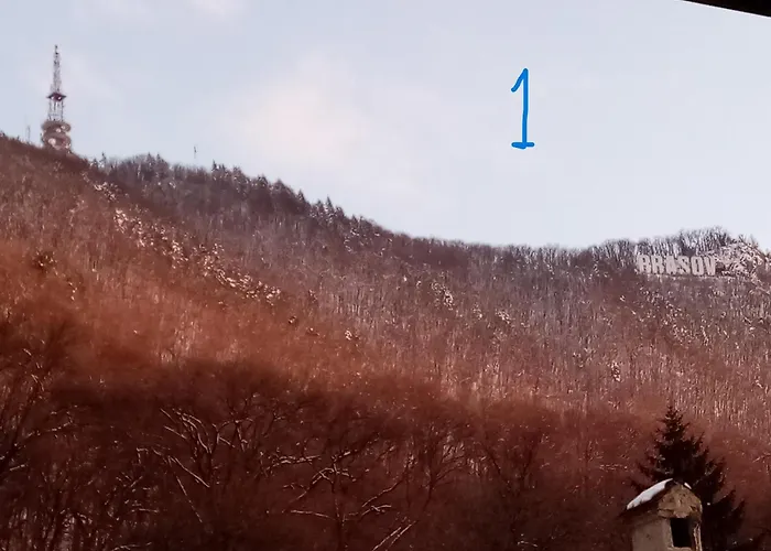 Old Town Apartment Brasov